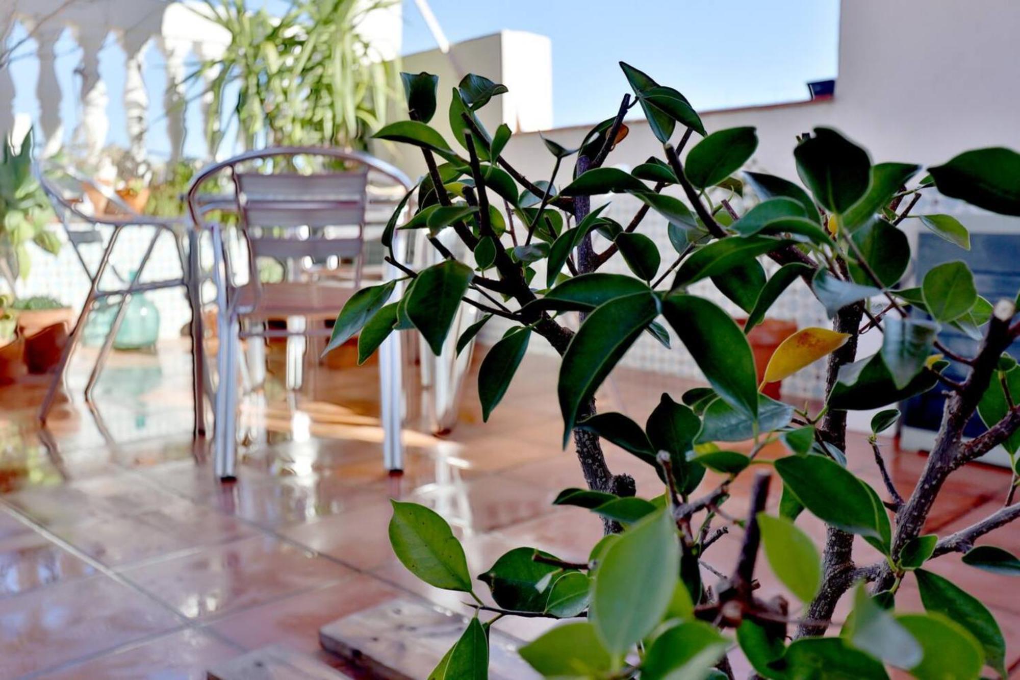 דירות קורדובה Atico Con Terraza En Pleno Centro מראה חיצוני תמונה
